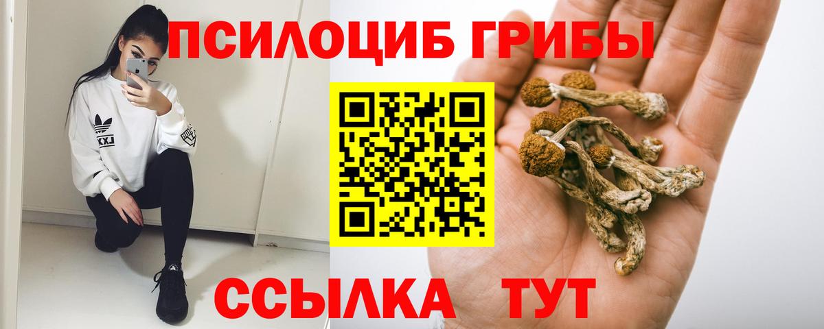 Галлюциногенные грибы мухоморы  Галлюциногенные грибы ЛСД  Вход с VPN  Северобайкальск 