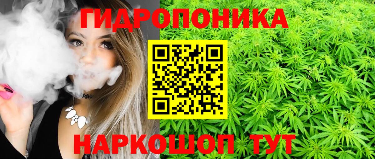 Каннабис план  Марихуана марихуана  Вход с VPN  Северобайкальск  МАРИХУАНА THC 21%  Конопля сатива 
